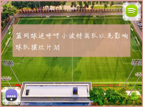 篮网球迷呼吁小波特离队以免影响球队摆烂计划